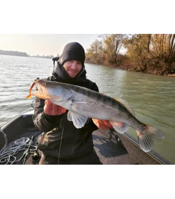 Westin ShadTeez (1 pcs)