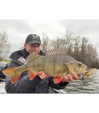 Westin ShadTeez (1 pcs)