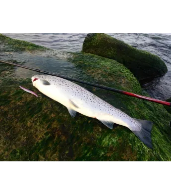 Viirastus Python handmade spoons for sea trout