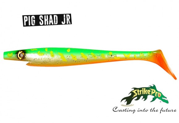 Arrival of the Pig Shad's